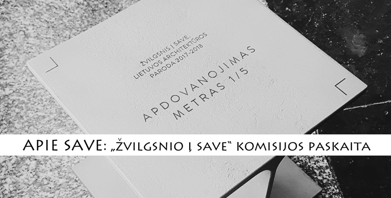 APIE SAVE: „Žvilgsnio į save“ komisijos paskaita